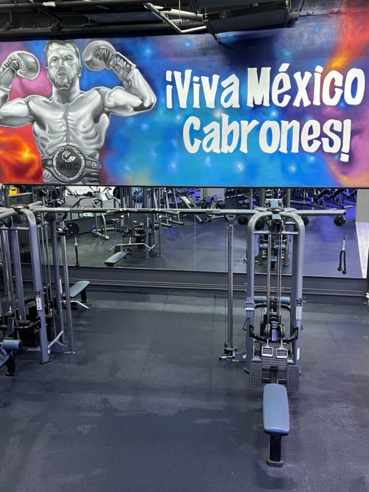 Mazatlan Gym Evolve